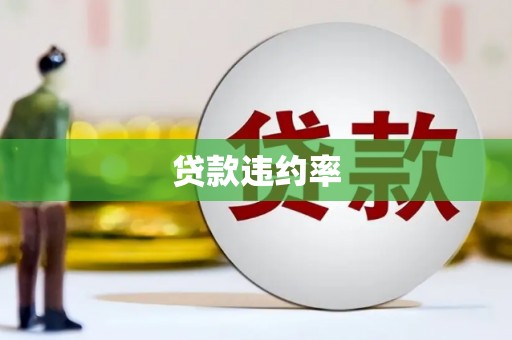崖州贷款违约率