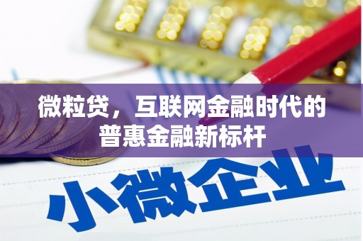 崖州微粒贷，互联网金融时代的普惠金融新标杆