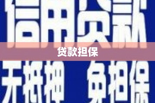 崖州贷款担保