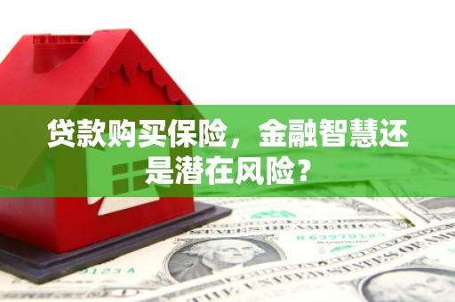 崖州贷款购买保险，金融智慧还是潜在风险？