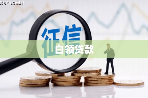 崖州白领贷款