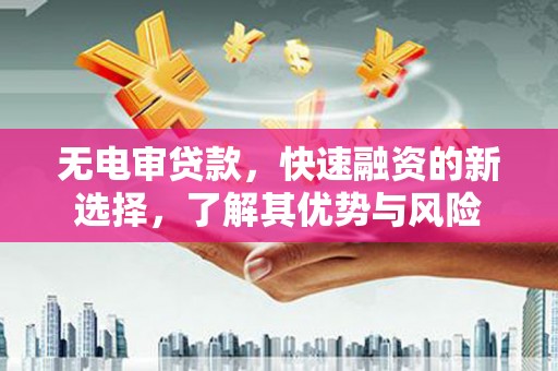 崖州无电审贷款，快速融资的新选择，了解其优势与风险