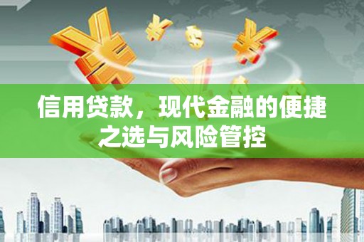 崖州信用贷款，现代金融的便捷之选与风险管控