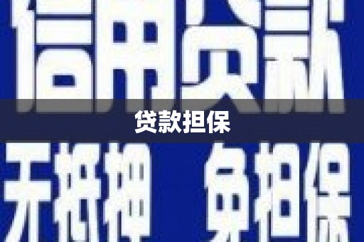 崖州贷款担保