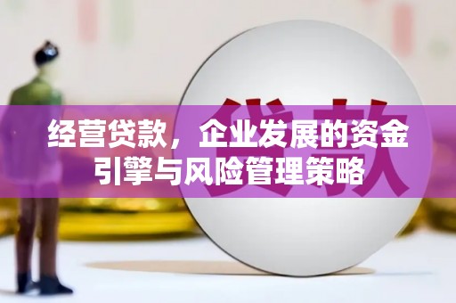 崖州经营贷款，企业发展的资金引擎与风险管理策略