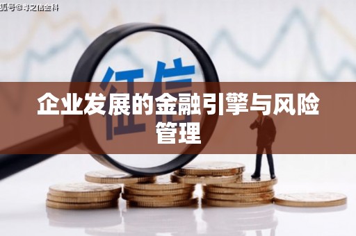 崖州企业发展的金融引擎与风险管理