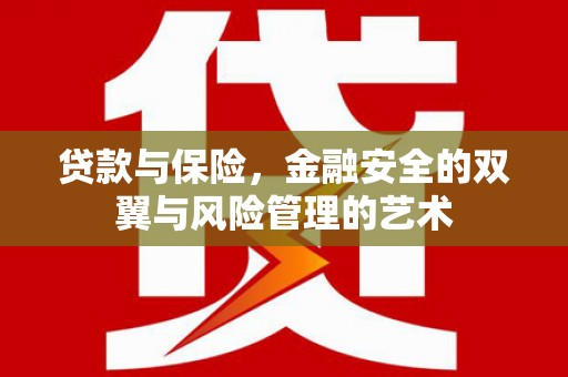 崖州贷款与保险，金融安全的双翼与风险管理的艺术