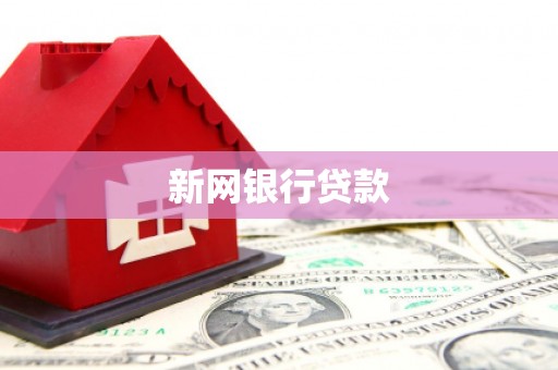 崖州新网银行贷款