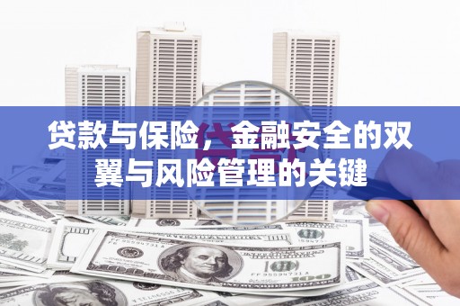 崖州贷款与保险，金融安全的双翼与风险管理的关键