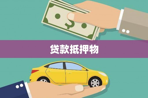 崖州贷款抵押物