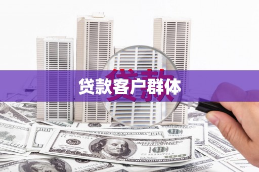 崖州贷款客户群体