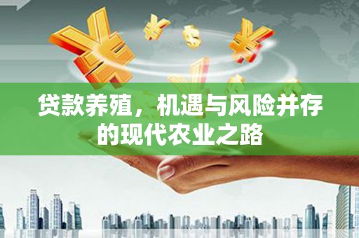 崖州贷款养殖，机遇与风险并存的现代农业之路