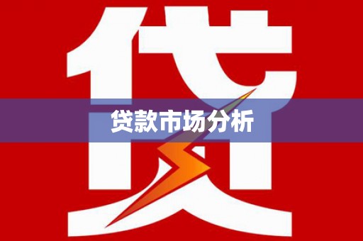 崖州贷款市场分析