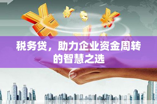 崖州税务贷，助力企业资金周转的智慧之选