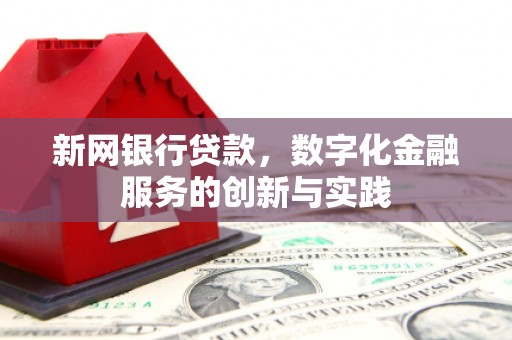崖州新网银行贷款，数字化金融服务的创新与实践