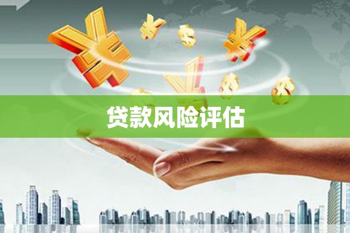 崖州贷款风险评估