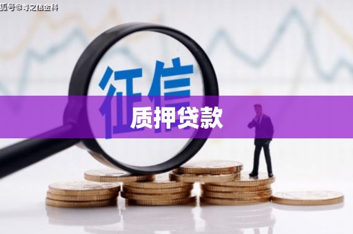 崖州质押贷款