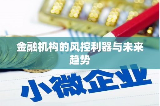 崖州金融机构的风控利器与未来趋势