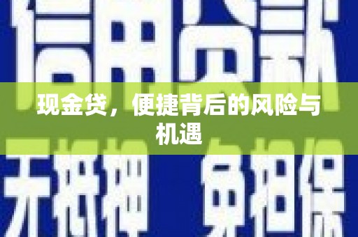 崖州现金贷，便捷背后的风险与机遇