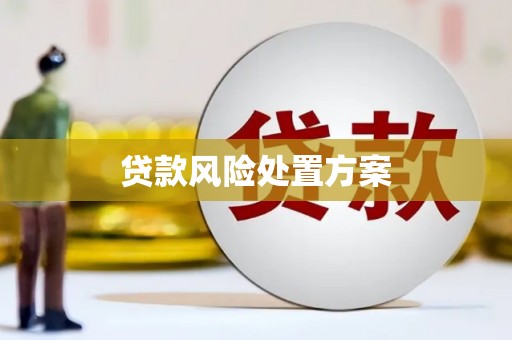 崖州贷款风险处置方案
