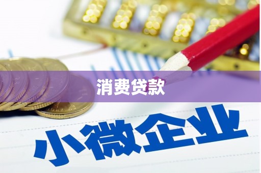 崖州消费贷款