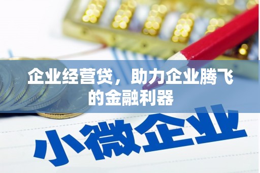 崖州企业经营贷，助力企业腾飞的金融利器