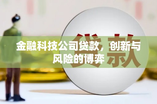 崖州金融科技公司贷款，创新与风险的博弈