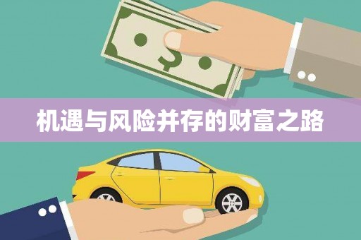 崖州机遇与风险并存的财富之路