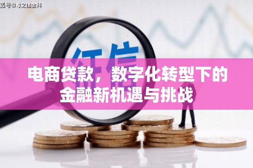 崖州电商贷款，数字化转型下的金融新机遇与挑战