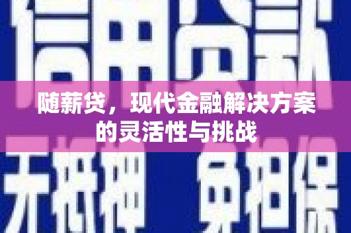 崖州随薪贷，现代金融解决方案的灵活性与挑战