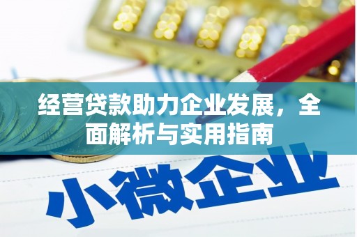 崖州经营贷款助力企业发展，全面解析与实用指南