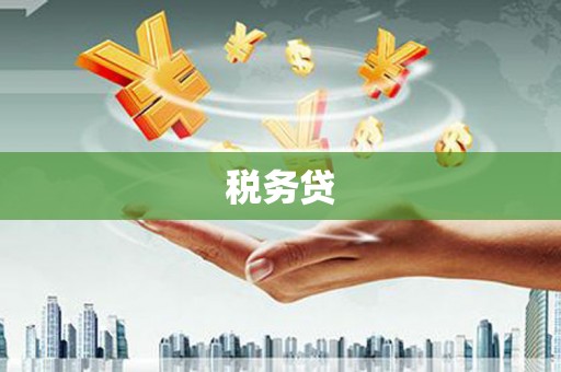 崖州税务贷