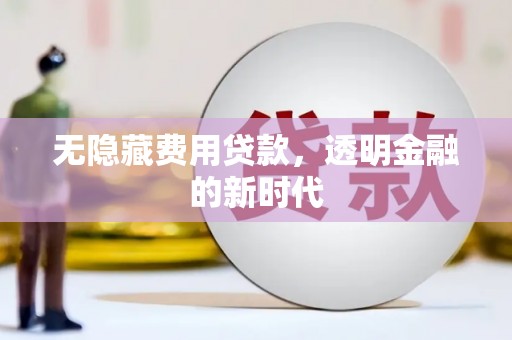 崖州无隐藏费用贷款，透明金融的新时代