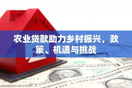 崖州农业贷款助力乡村振兴，政策、机遇与挑战