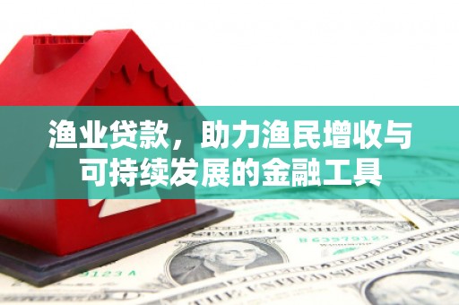 崖州渔业贷款，助力渔民增收与可持续发展的金融工具