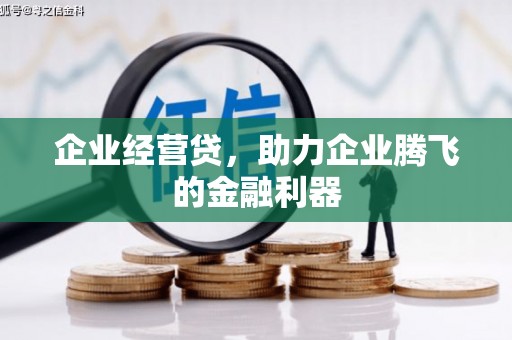 崖州企业经营贷，助力企业腾飞的金融利器