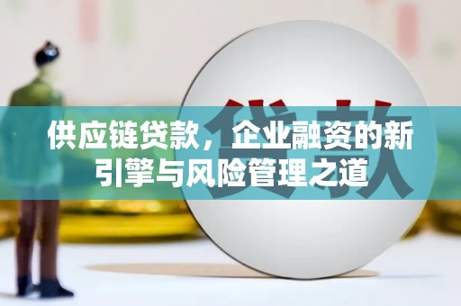 崖州供应链贷款，企业融资的新引擎与风险管理之道