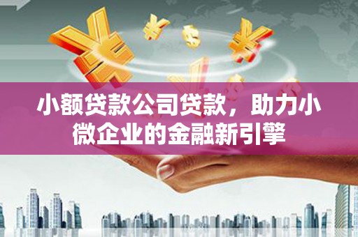 崖州小额贷款公司贷款，助力小微企业的金融新引擎