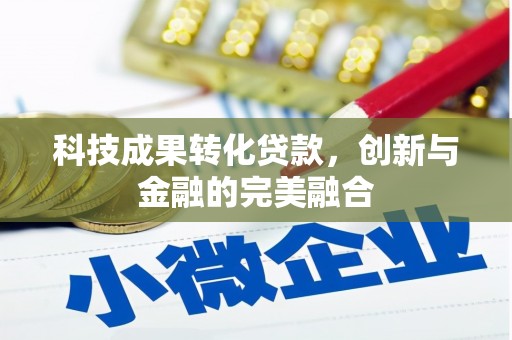 崖州科技成果转化贷款，创新与金融的完美融合