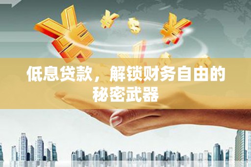 崖州低息贷款，解锁财务自由的秘密武器