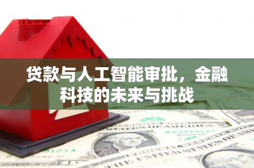 崖州贷款与人工智能审批，金融科技的未来与挑战