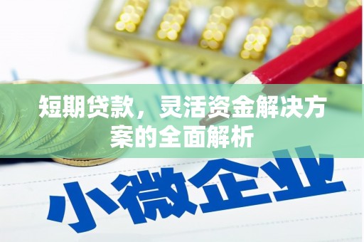 崖州短期贷款，灵活资金解决方案的全面解析