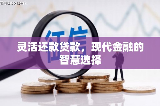 崖州灵活还款贷款，现代金融的智慧选择