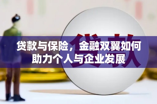 崖州贷款与保险，金融双翼如何助力个人与企业发展
