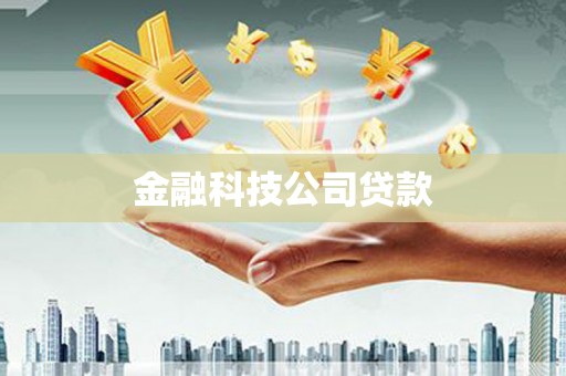 崖州金融科技公司贷款