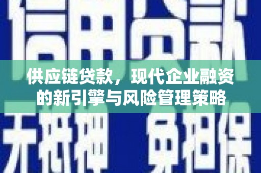 崖州供应链贷款，现代企业融资的新引擎与风险管理策略