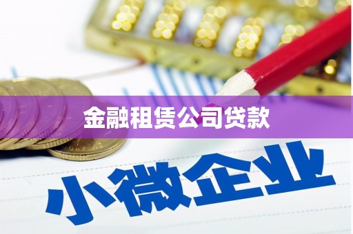崖州金融租赁公司贷款