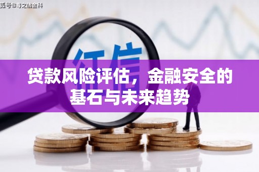 崖州贷款风险评估，金融安全的基石与未来趋势