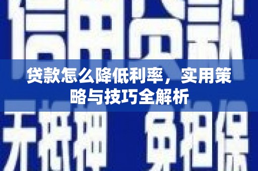 崖州贷款怎么降低利率，实用策略与技巧全解析