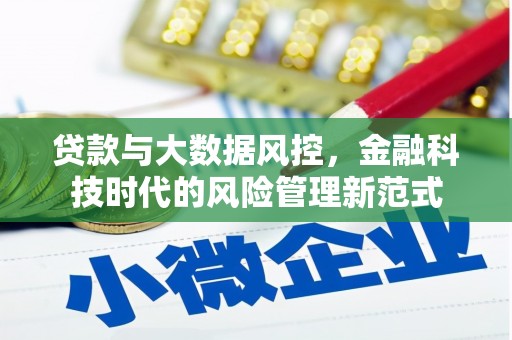 崖州贷款与大数据风控，金融科技时代的风险管理新范式